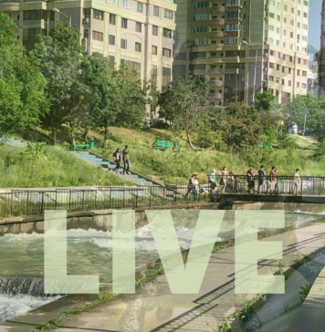 LIVE.Коронавирус: важные новости 20.08