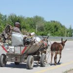 Не ВВП единым. Прогноз по «новым бедным» в Центральной Азии