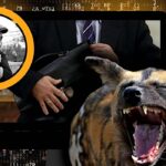 Человек с портфелем (часть 1). Размышлизмы