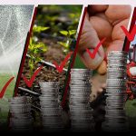 Микрокредитование в агросекторе: новые возможности для начинающих и опытных фермеров