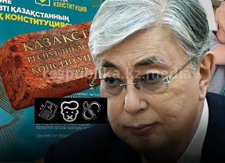 О чем говорят аресты в преддверии референдума по Конституции