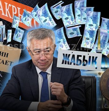 Как в Казахстане поддерживают малый бизнес: сравниваем цифры