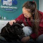 Как вырвали Тео из рук смерти