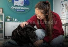Как вырвали Тео из рук смерти