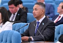 Финал «птенца Нурсултанова»: как отобрали партию у Перуашева