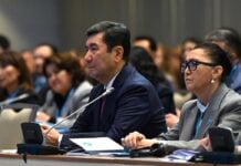 Школа номенклатурного балета: за какие заслуги Ерлан Кошанов возглавил Қазақстан Халық Кеңесі
