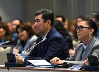 Школа номенклатурного балета: за какие заслуги Ерлан Кошанов возглавил Қазақстан Халық Кеңесі